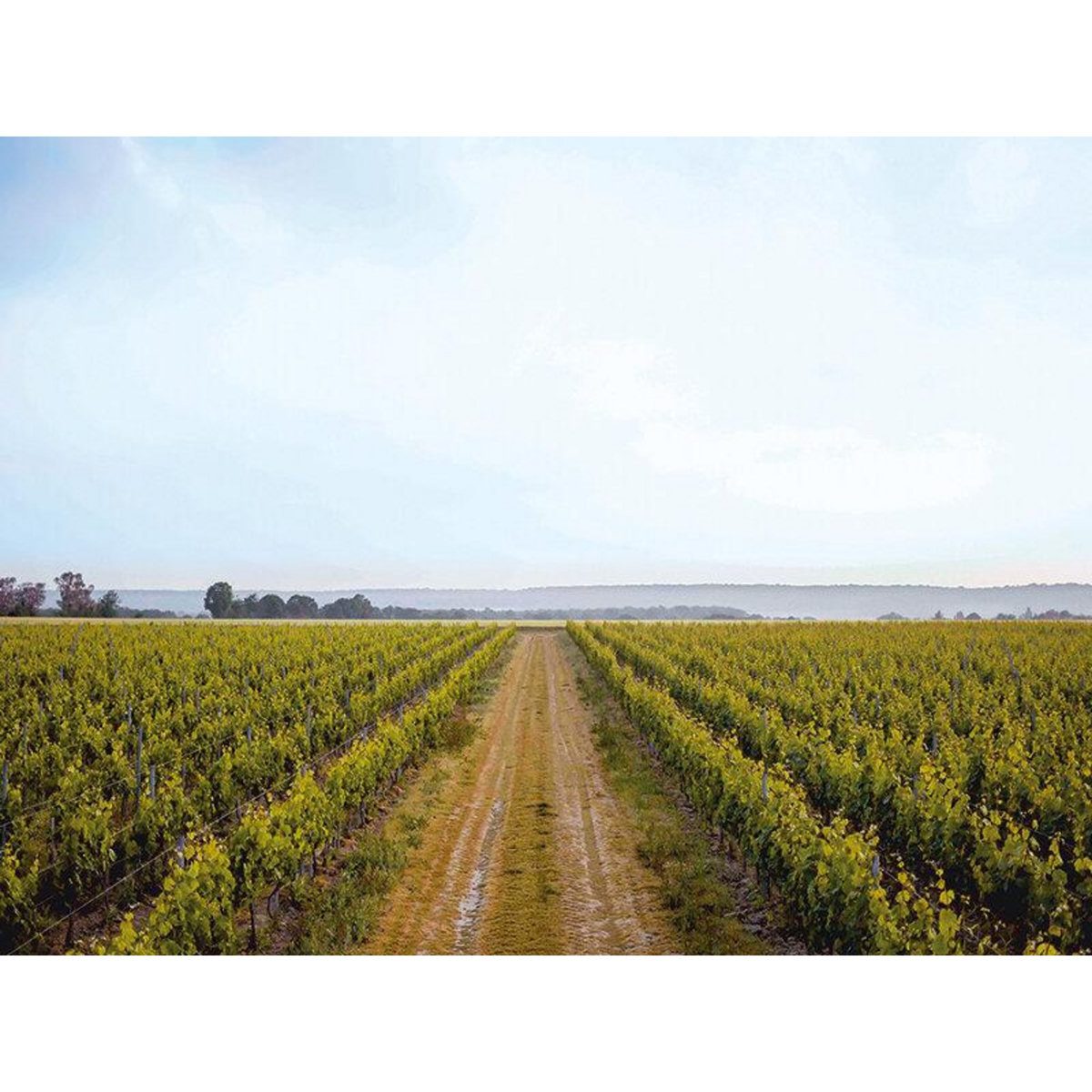 Smartbox Visite, dégustation et accord mets-vins en duo aux portes de Paris - Coffret Cadeau Gastronomie