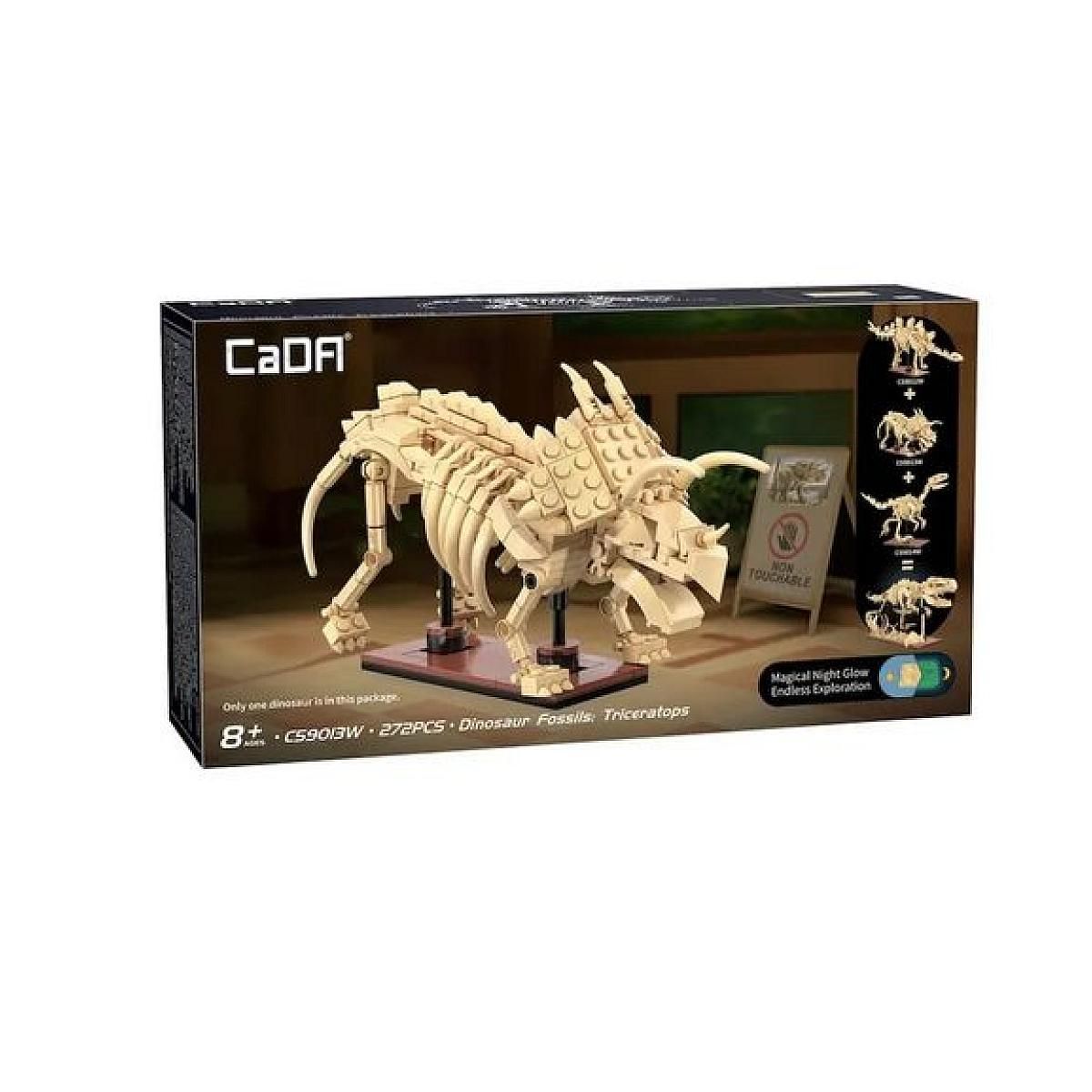 Jamara - Creative - squelette de triceratops