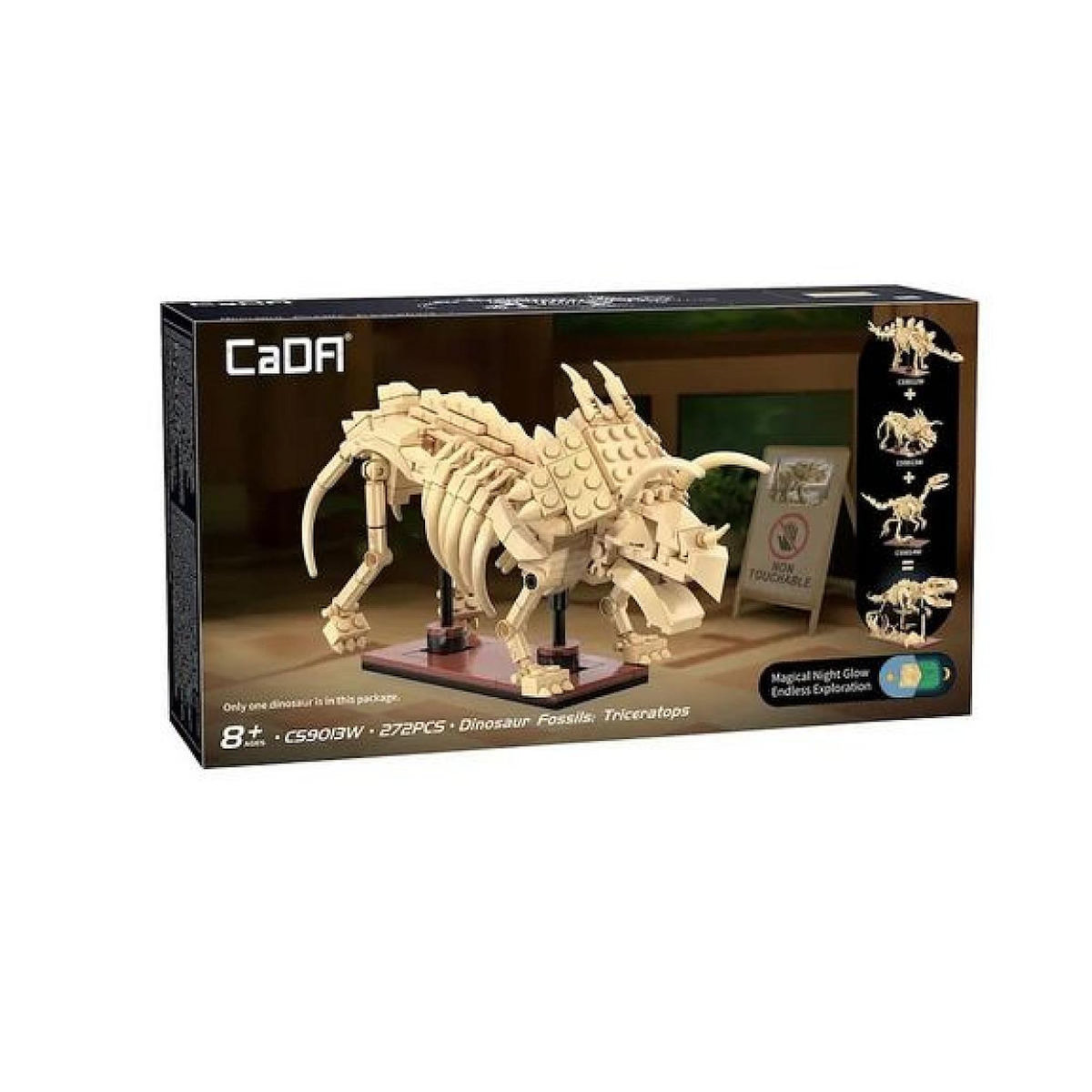 Jamara - Creative - squelette de triceratops