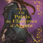 UN PALAIS D'EPINES ET DE ROSES TOME 4 : UN PALAIS DE FLAMMES D'ARGENT. EDITION COLLECTOR, Maas Sarah J.
