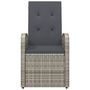 Voir la diapositive 4 : VIDAXL Chaise inclinable de jardin 2pc et coussins Resine tressee Gris