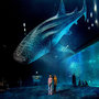 Voir la diapositive 3 : Smartbox Nausicaá : entrée pour 2 adultes et 1 enfant à l'aquarium de Boulogne-sur-Mer en basse saison - Coffret Cadeau Sport & Aventure