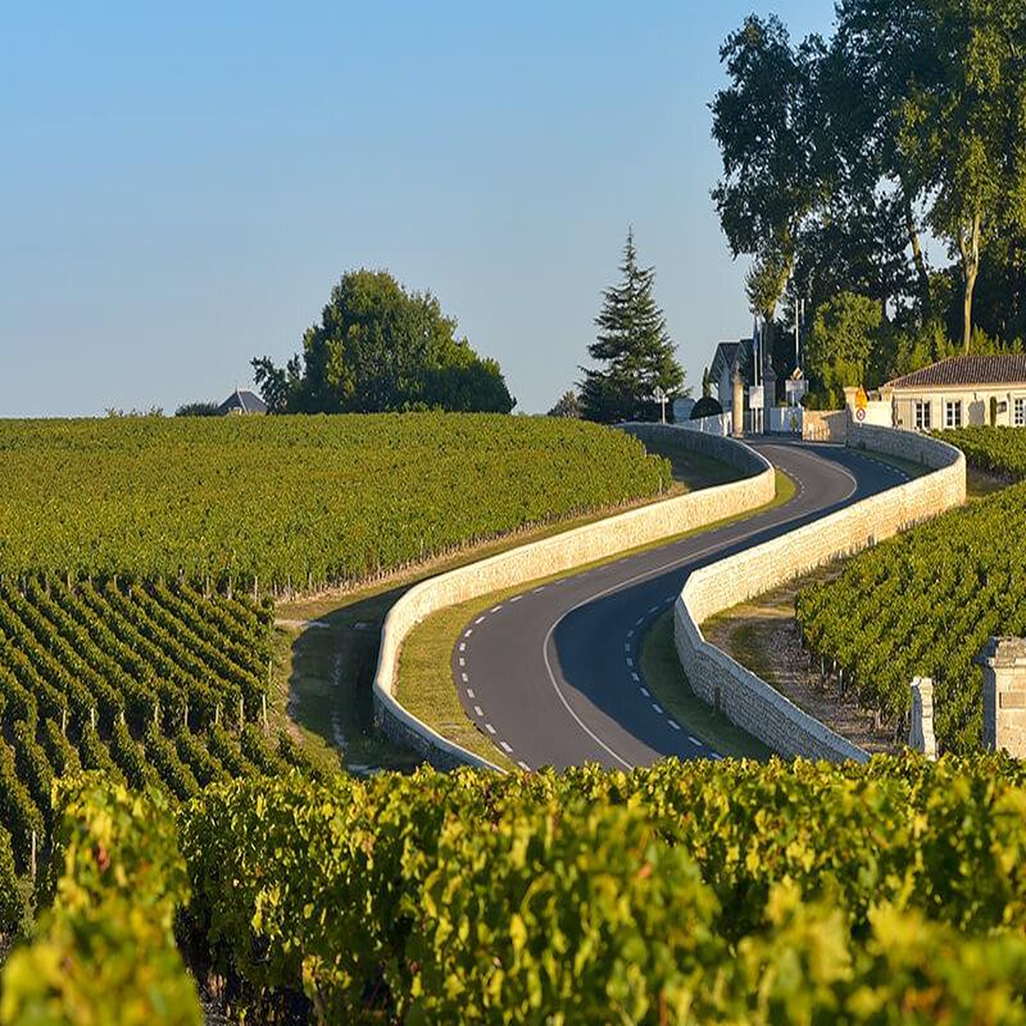 Voir la diapositive 4 : Smartbox Visite du Médoc, vignobles et châteaux, en DS présidentielle avec chauffeur privé (4h) - Coffret Cadeau Multi-thèmes