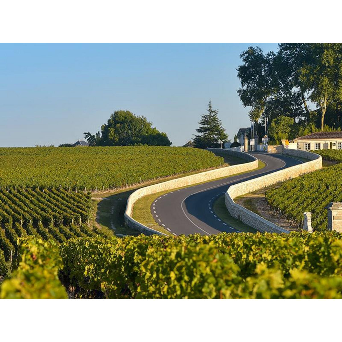 Smartbox Visite du Médoc, vignobles et châteaux, en DS présidentielle avec chauffeur privé (4h) - Coffret Cadeau Multi-thèmes