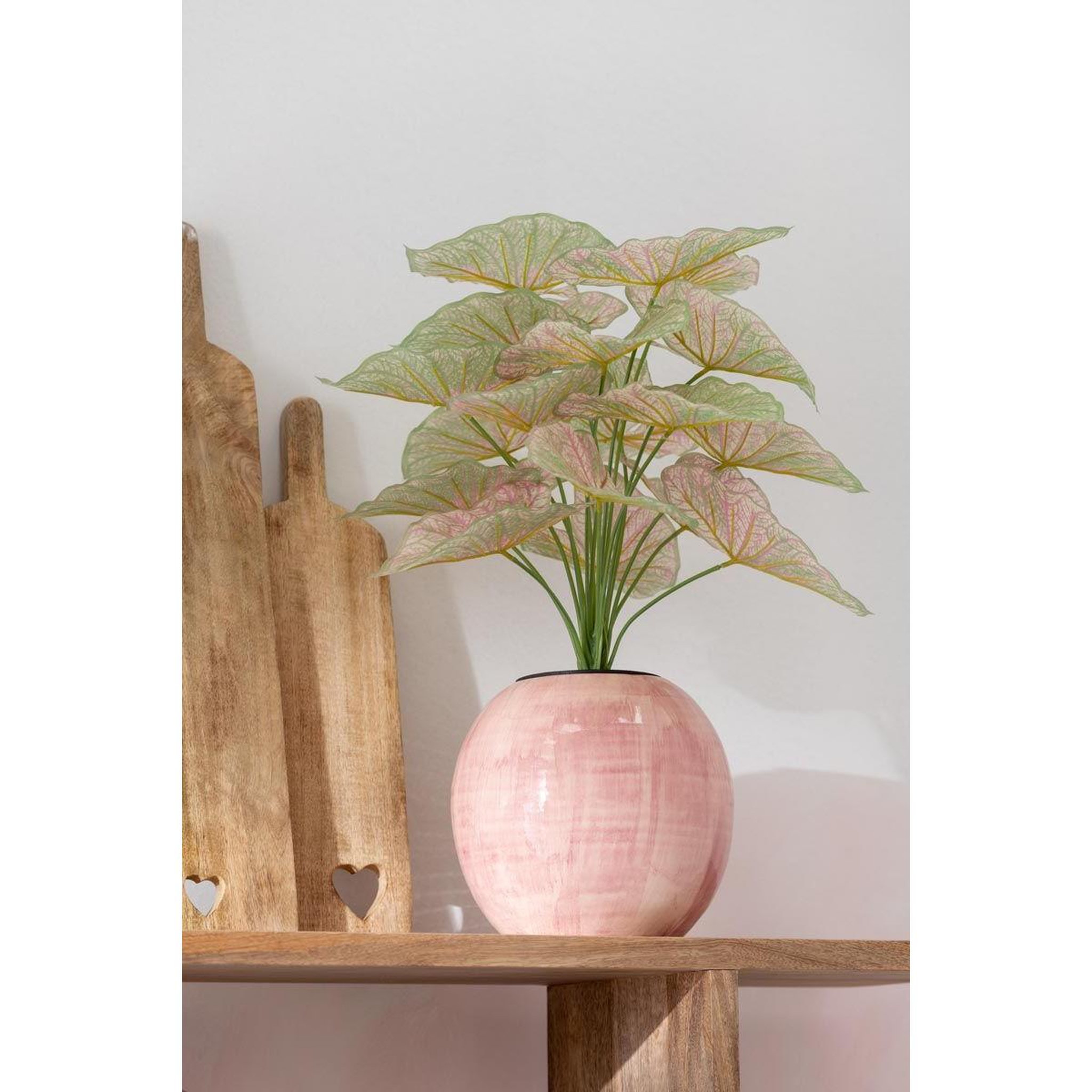 Voir la diapositive 5 : J-LINE Cache-pot en céramique  pinky perfect  24cm rose