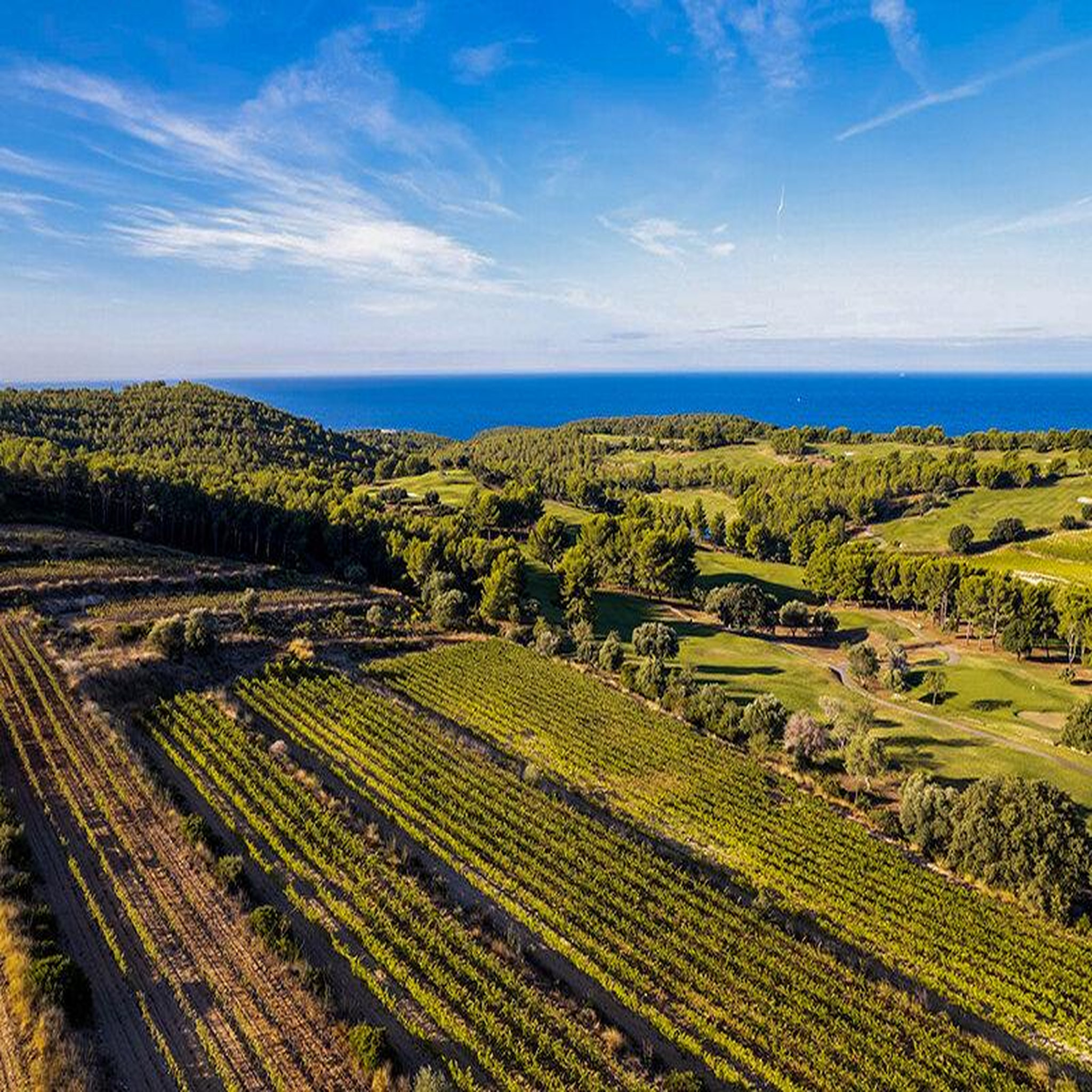 Voir la diapositive 3 : Smartbox Dégustation et découverte viticole dans un domaine d'exception près de toulon pour 2 personnes - coffret cadeau gastronomie