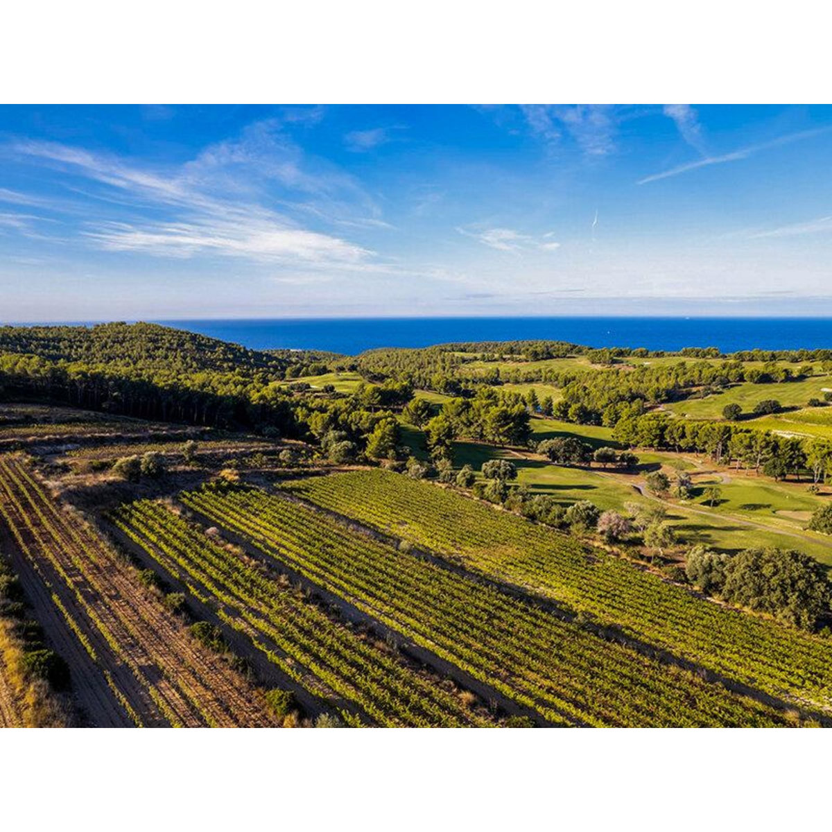 Smartbox Dégustation et découverte viticole dans un domaine d'exception près de Toulon pour 2 personnes - Coffret Cadeau Gastronomie