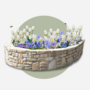 Voir la diapositive 5 : PLANT IN A BOX Mélange de bulbes pour le jardin - Set de 250 - Bulbes à fleurs
