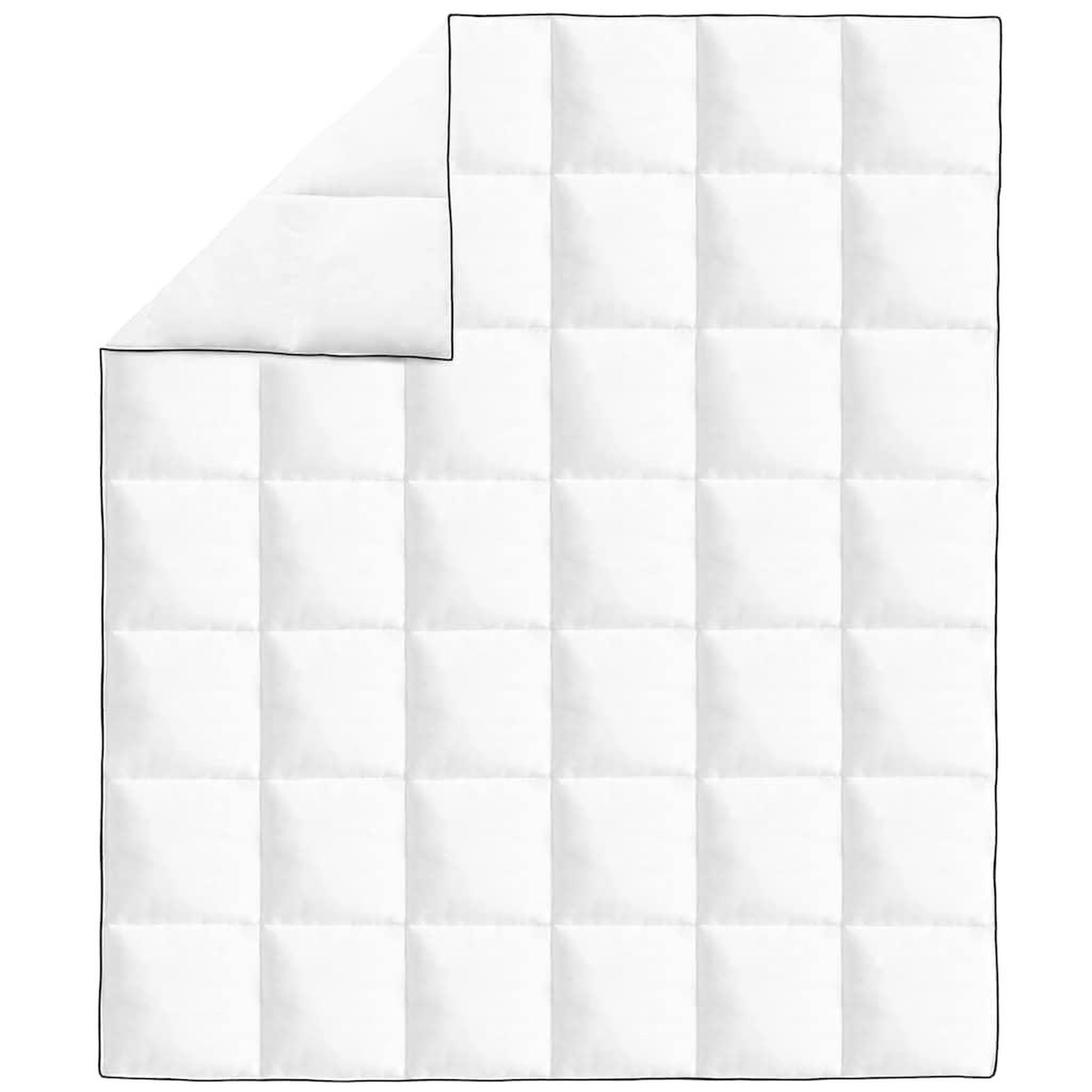 Voir la diapositive 2 : VIDAXL Couette en duvet d'hiver 200 x 220 cm