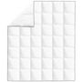 Voir la diapositive 2 : VIDAXL Couette en duvet d'hiver 200 x 220 cm