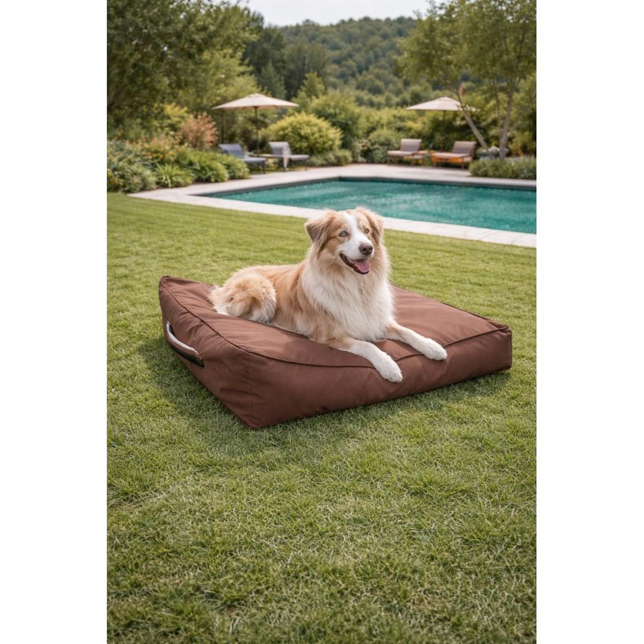Voir la diapositive 4 : MON AMI LUKI Sofa impermeable et antiderapant pour chien