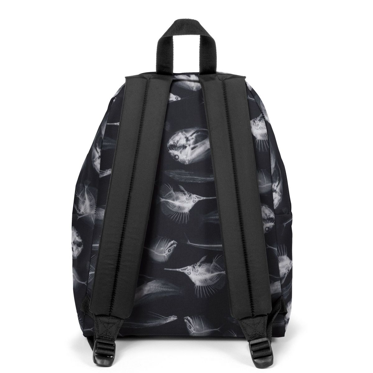 EASTPAK Sac à dos 1 compartiment noir Padded Pak'R Sea Fish