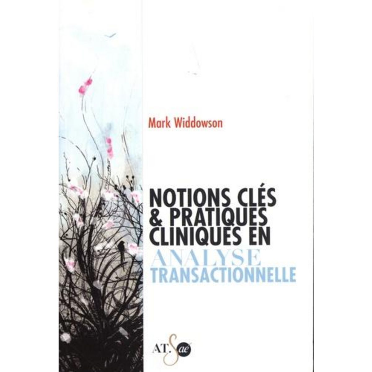 NOTIONS CLES & PRATIQUES CLINIQUES EN ANALYSE TRANSACTIONNELLE, Widdowson Mark