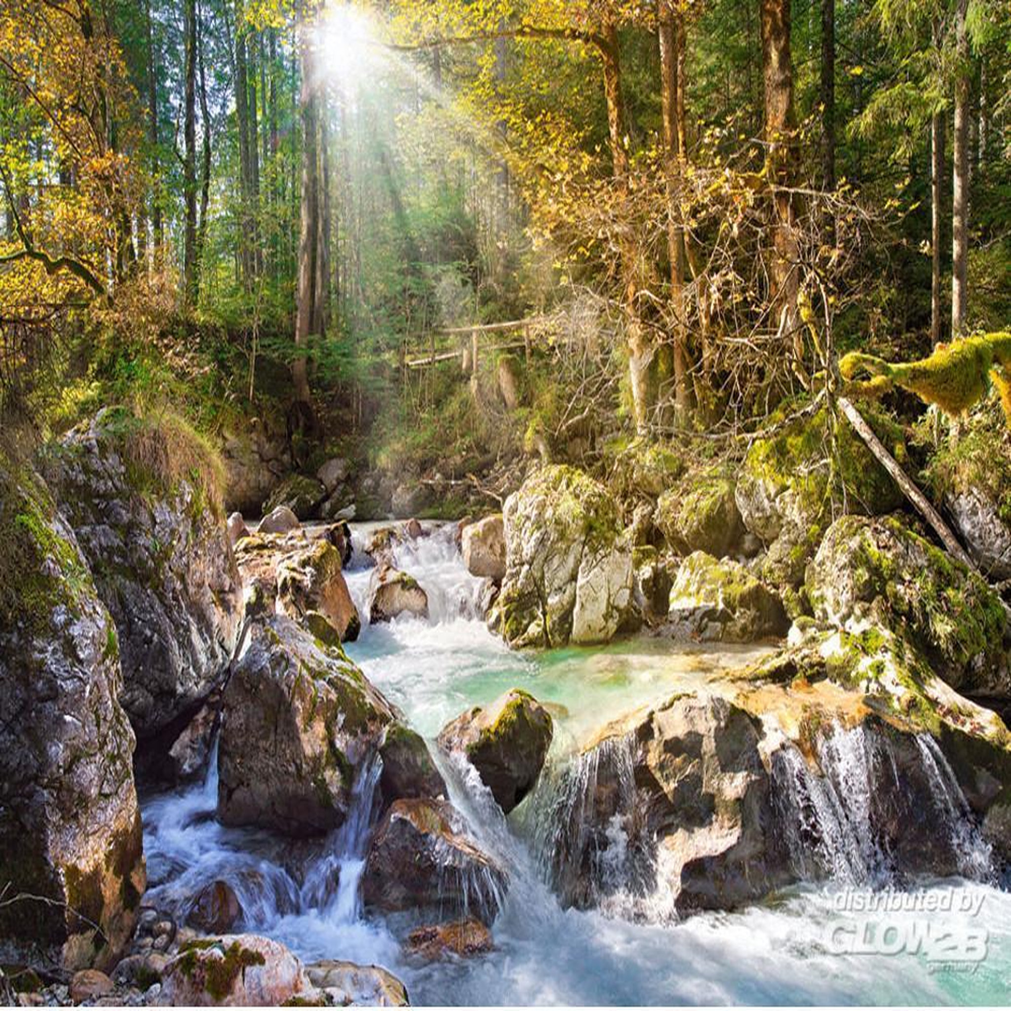 Voir la diapositive 3 : Castorland Puzzle 2000 pièces - Le ruisseau de la forêt