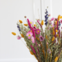 Voir la diapositive 3 : PLANT IN A BOX Fleurs séchées - Bouquet 'Trendy Vibrant'