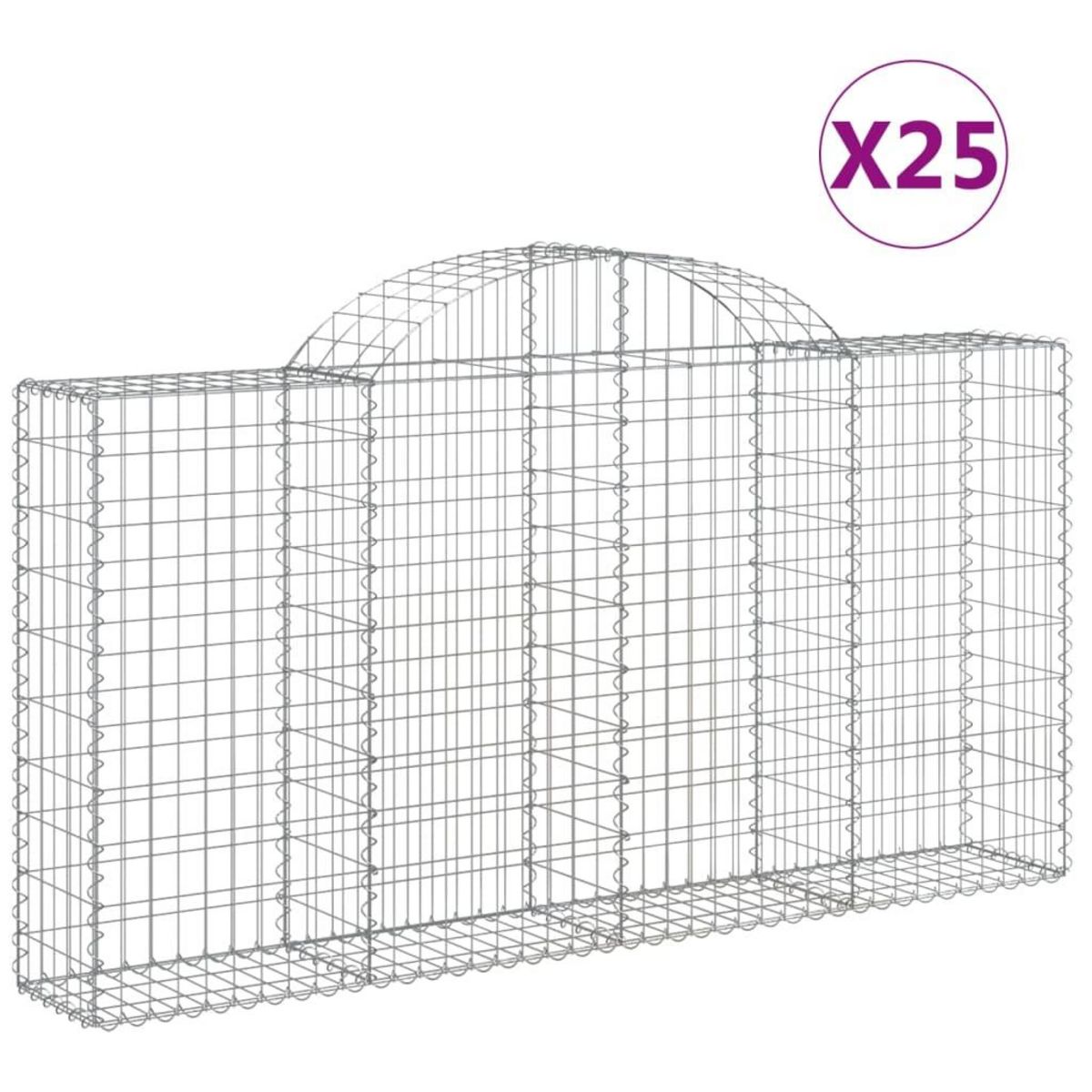 VIDAXL Paniers a gabions arques 25 pcs 200x30x100/120 cm Fer galvanise