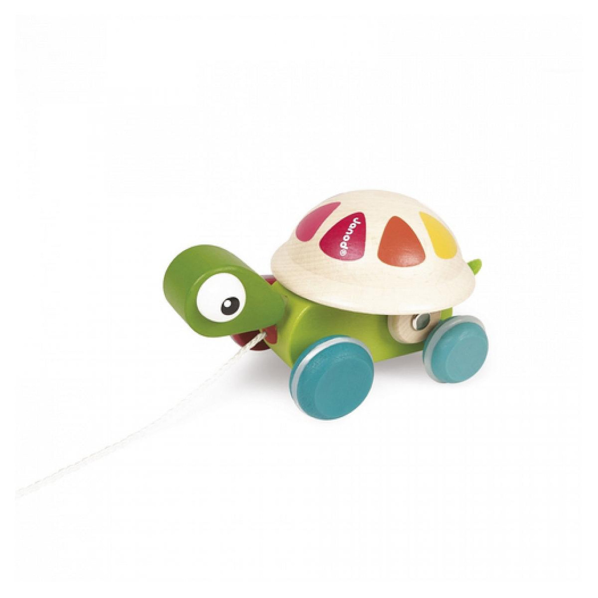 Juratoys-Janod Tortue a promener Zigolos