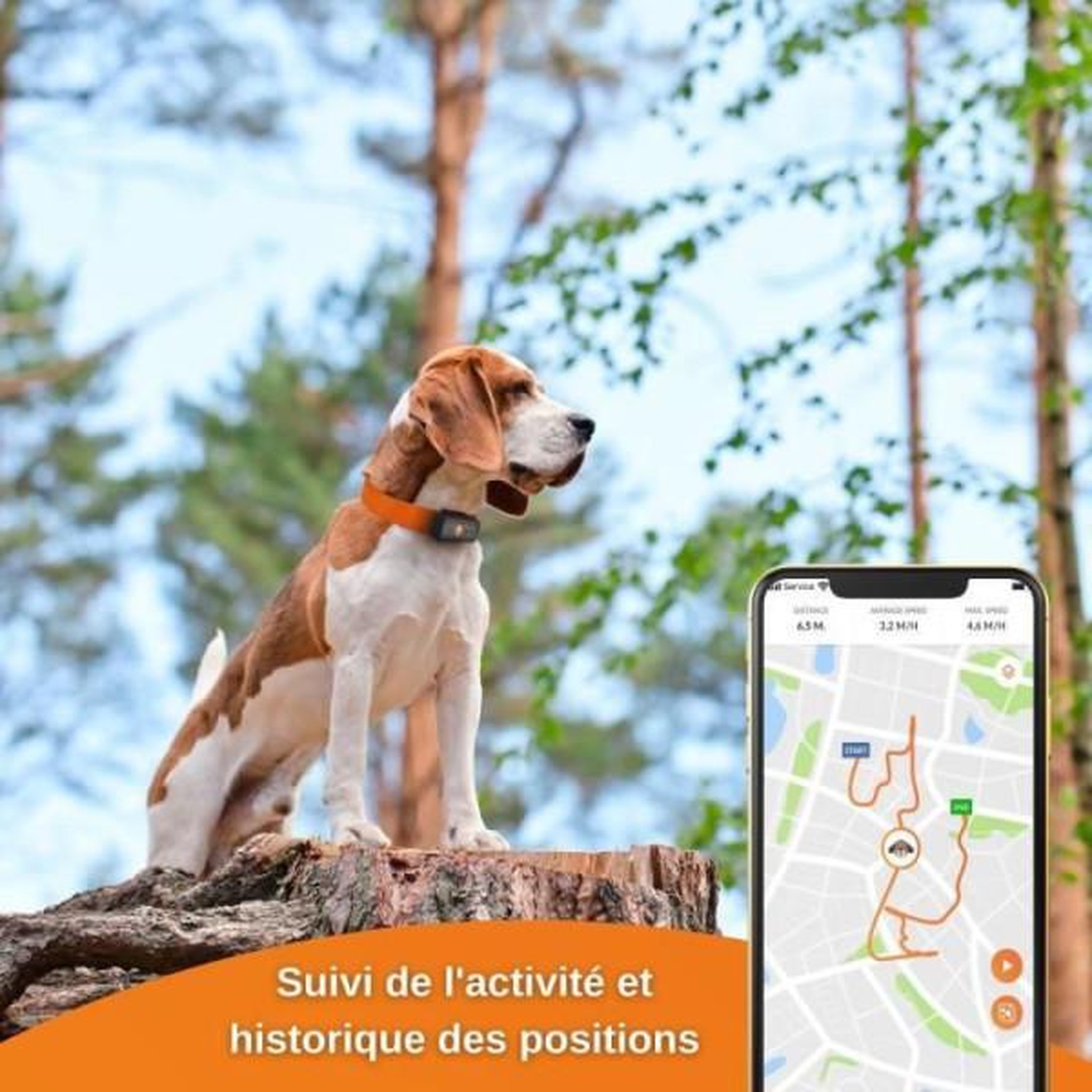 Voir la diapositive 4 : WEENECT Traceur GPS pour Chien - Weenect XS (Black Edition 2023)