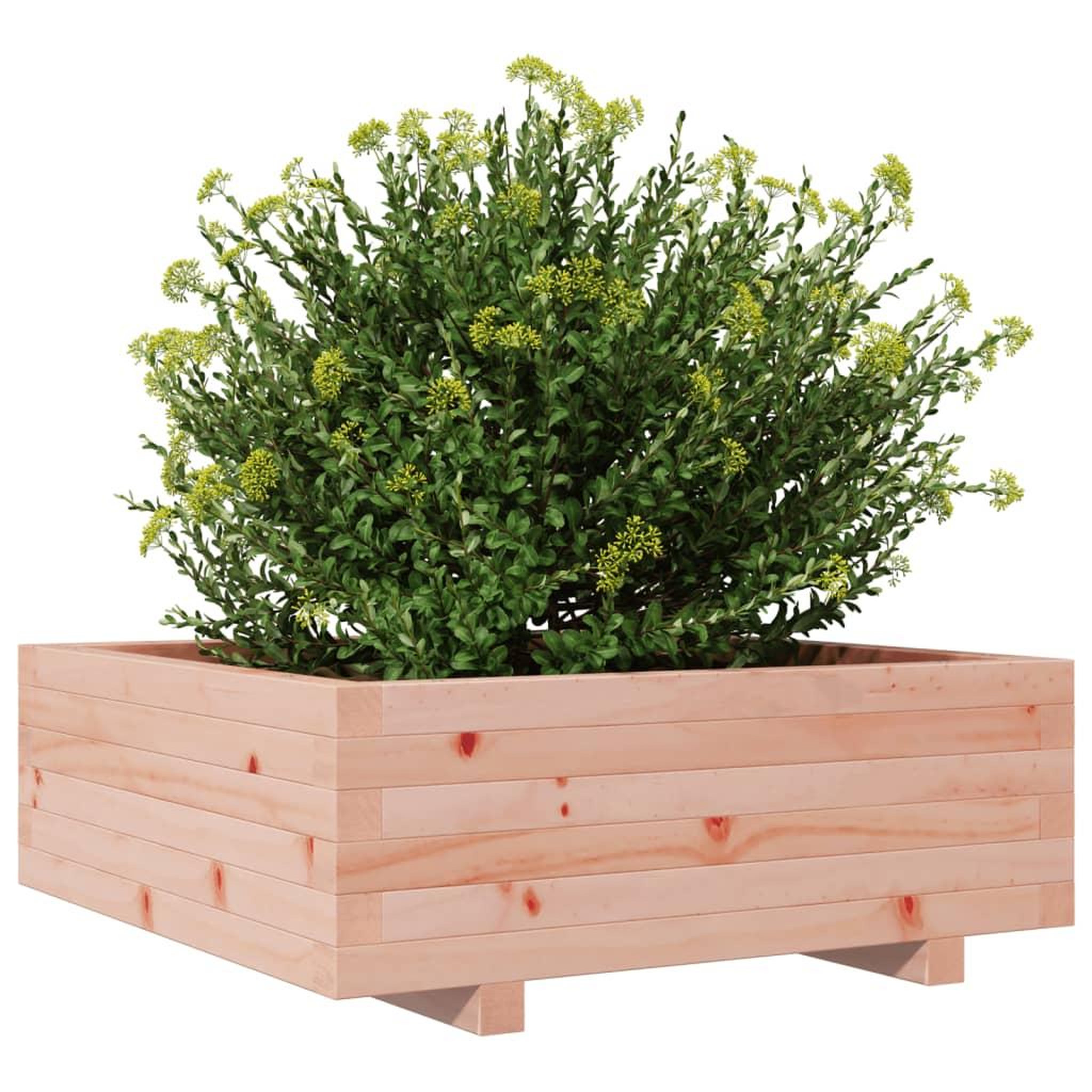Voir la diapositive 4 : VIDAXL Jardiniere 70x70x26,5 cm bois massif douglas
