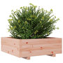 Voir la diapositive 4 : VIDAXL Jardiniere 70x70x26,5 cm bois massif douglas