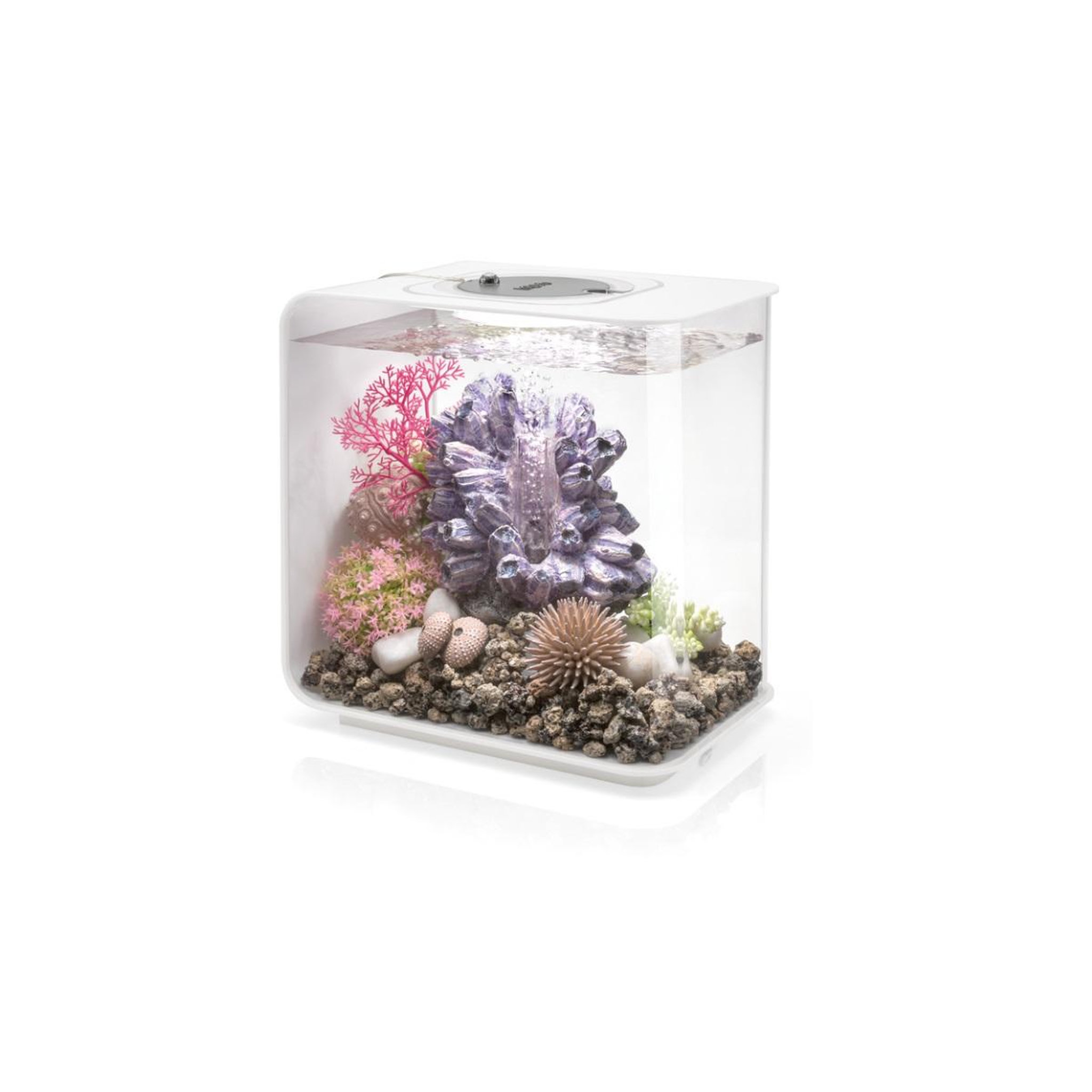Oase Aquarium 15l led blanc - flow 15 mcr white