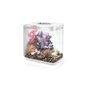 Voir la diapositive 1 : Oase Aquarium 15l led blanc - Flow 15 MCR white