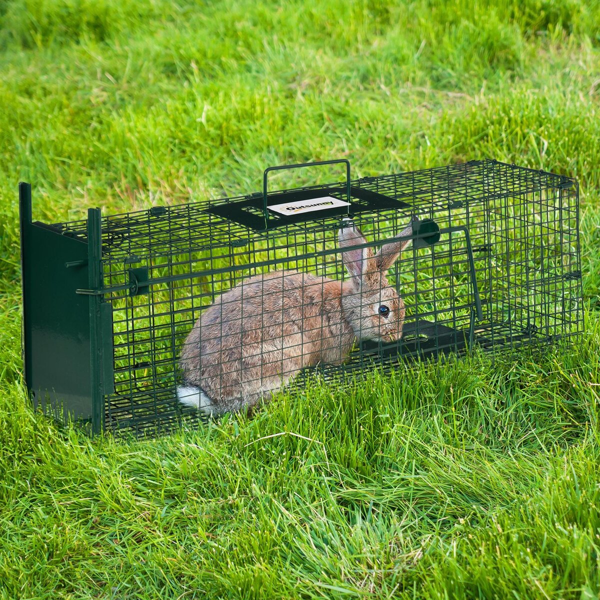 OUTSUNNY Piège de capture pour petits animaux type lapin rat - entrée, poignée - dim. 60L x 18l x 20H cm - métal vert