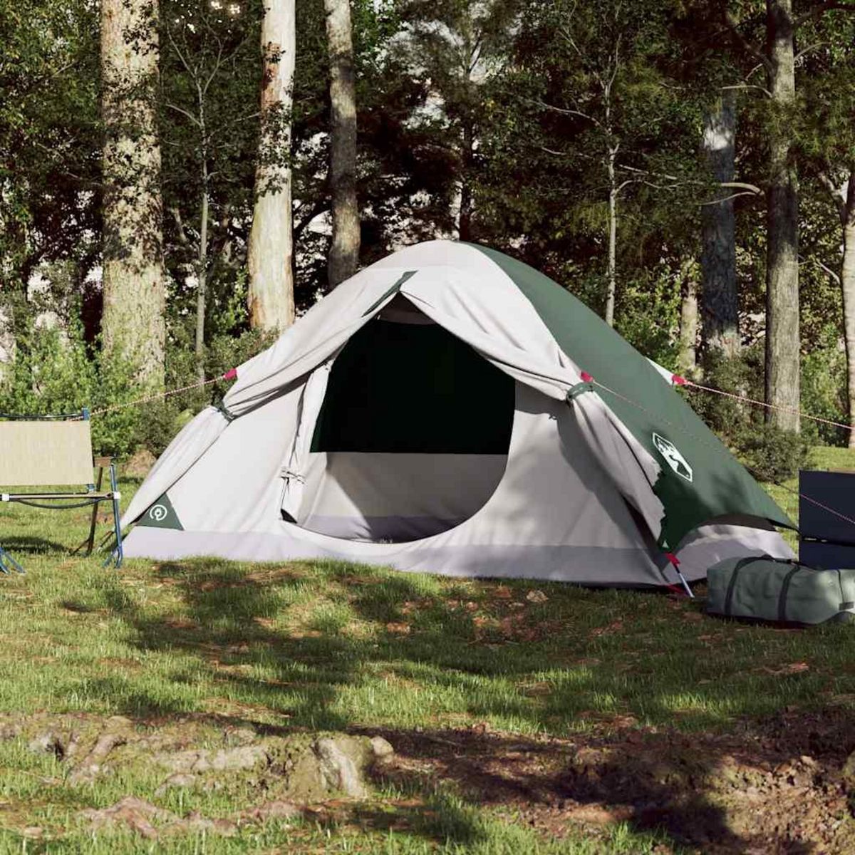 VIDAXL Tente de camping a dome 2 personne vert impermeable