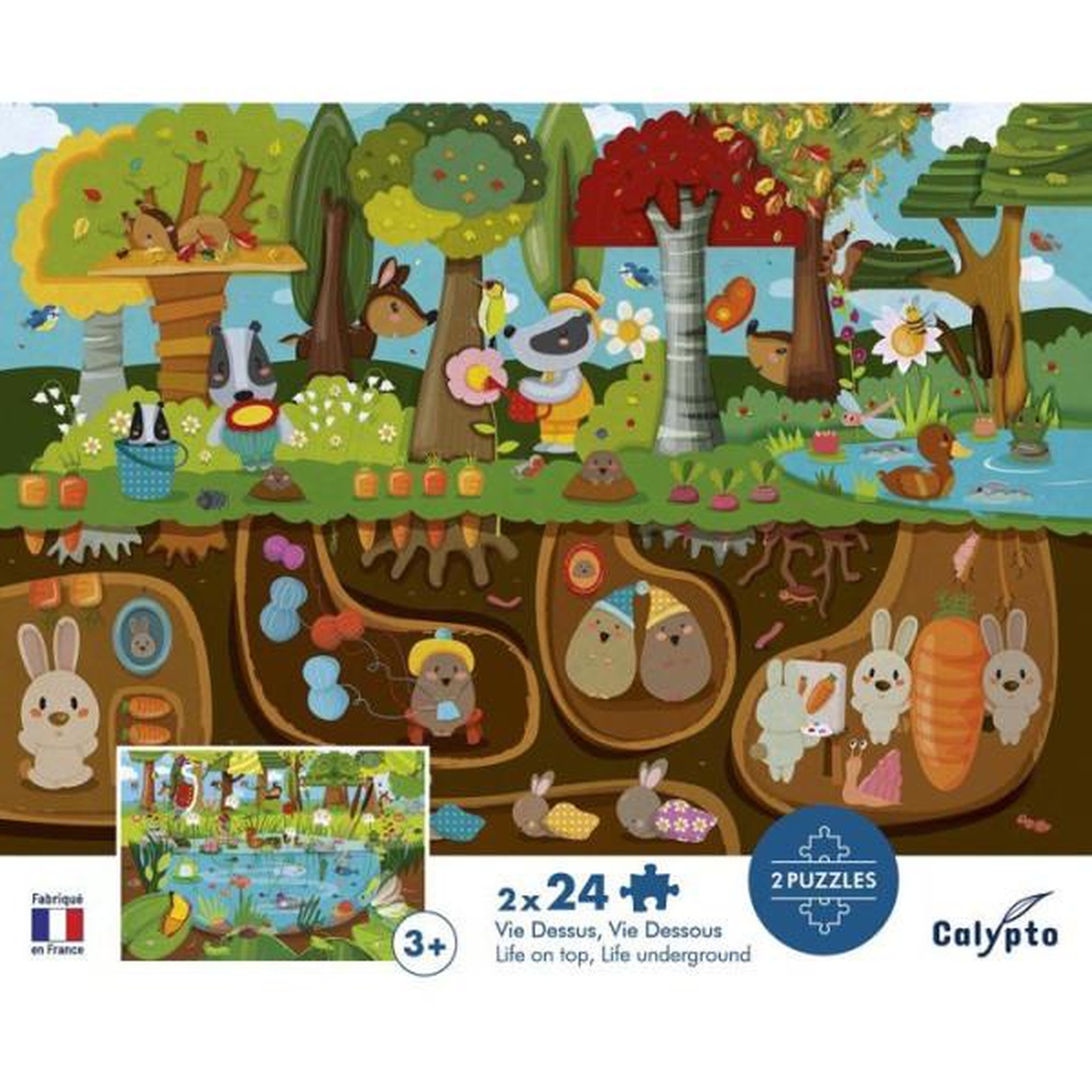 Voir la diapositive 3 : Sentosphere Puzzle 24 pièces x 2 vie dessus / vie dessous