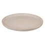 Voir la diapositive 2 : SECRET DE GOURMET Lot de 6 Assiettes Plates  Terre Inconnue  27cm Beige