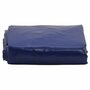 Voir la diapositive 2 : VIDAXL Bache bleu 5x8 m 600 g/m²
