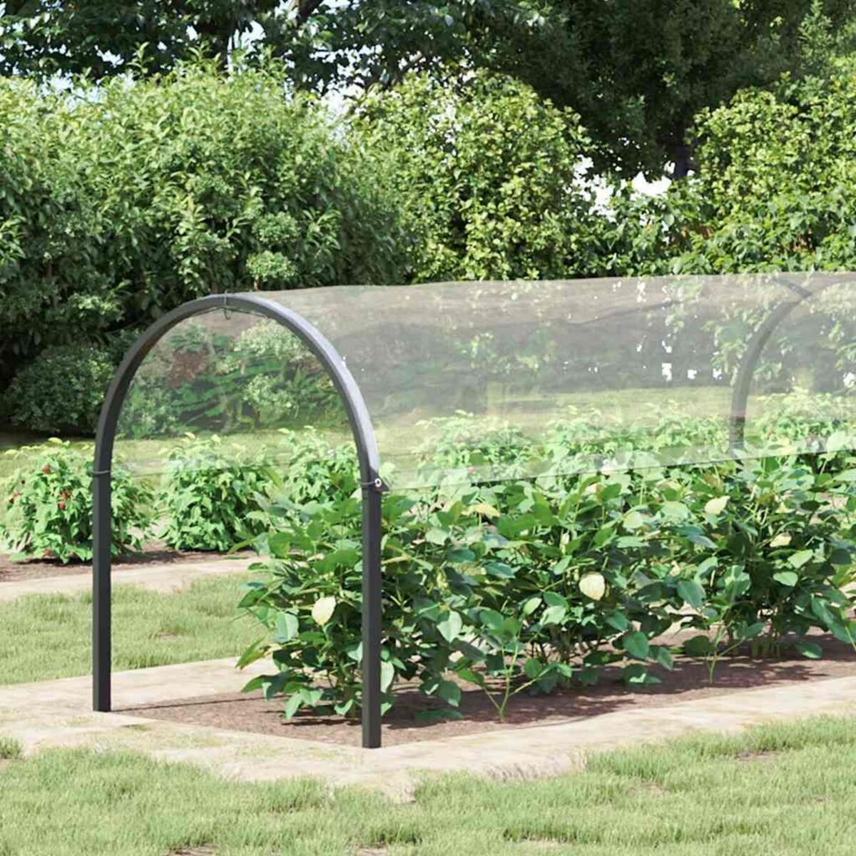 VIDAXL Bache transparente avec œillets 2x10 m PVC