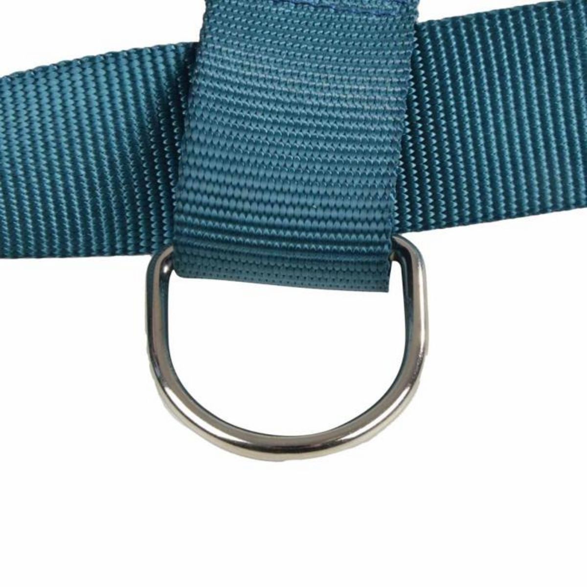 Paris Prix Harnais pour Chien  Essentiel  70cm Émeraude