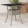Voir la diapositive 1 : VIDAXL Table de jardin avec dessus en verre gris clair resine tressee