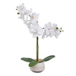 ATMOSPHERA Orchidée Artificielle en Pot  Clera  52cm Blanc
