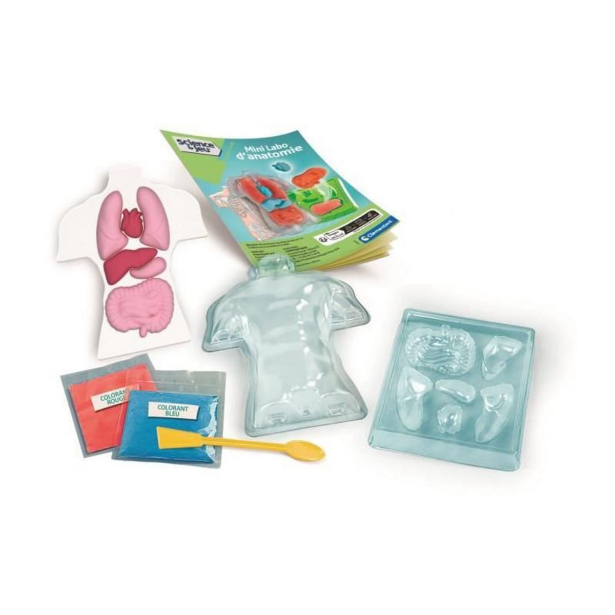 CLEMENTONI Mini Labo d'anatomie CLEMENTONI
