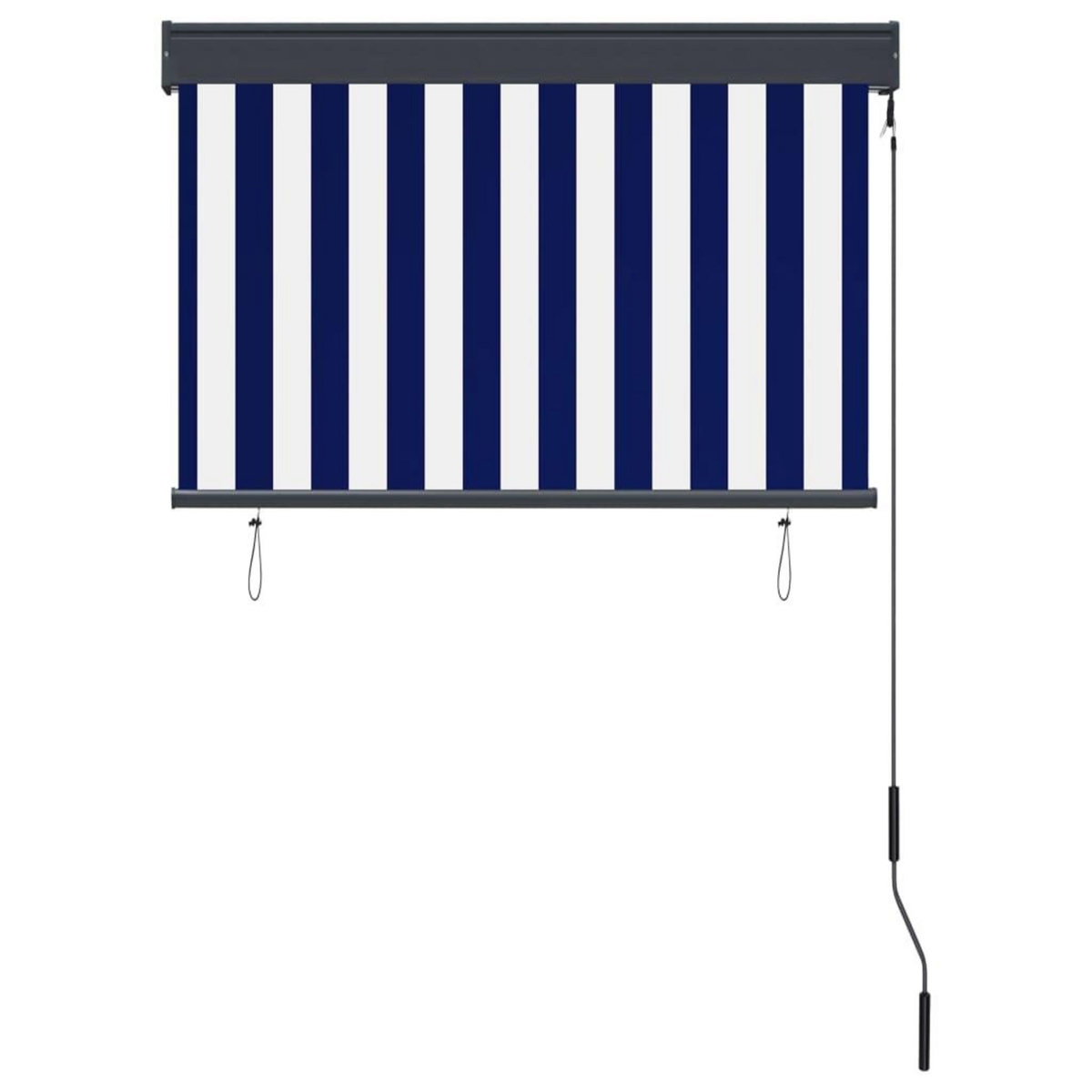 VIDAXL Store roulant d'exterieur 100x250 cm Bleu et blanc