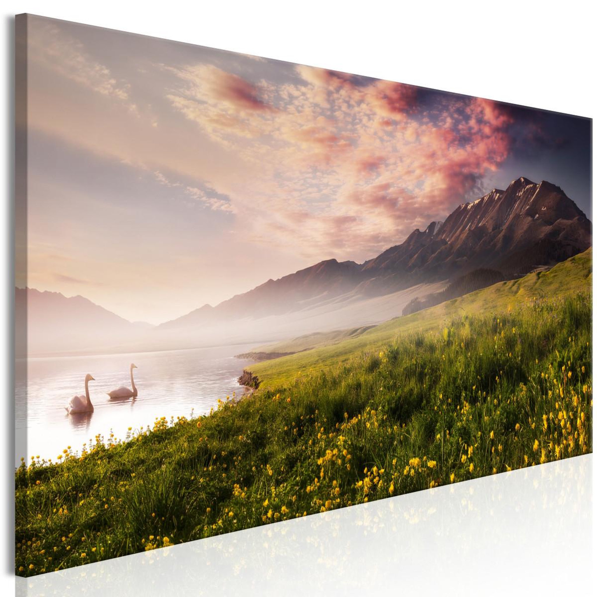 Multicolore