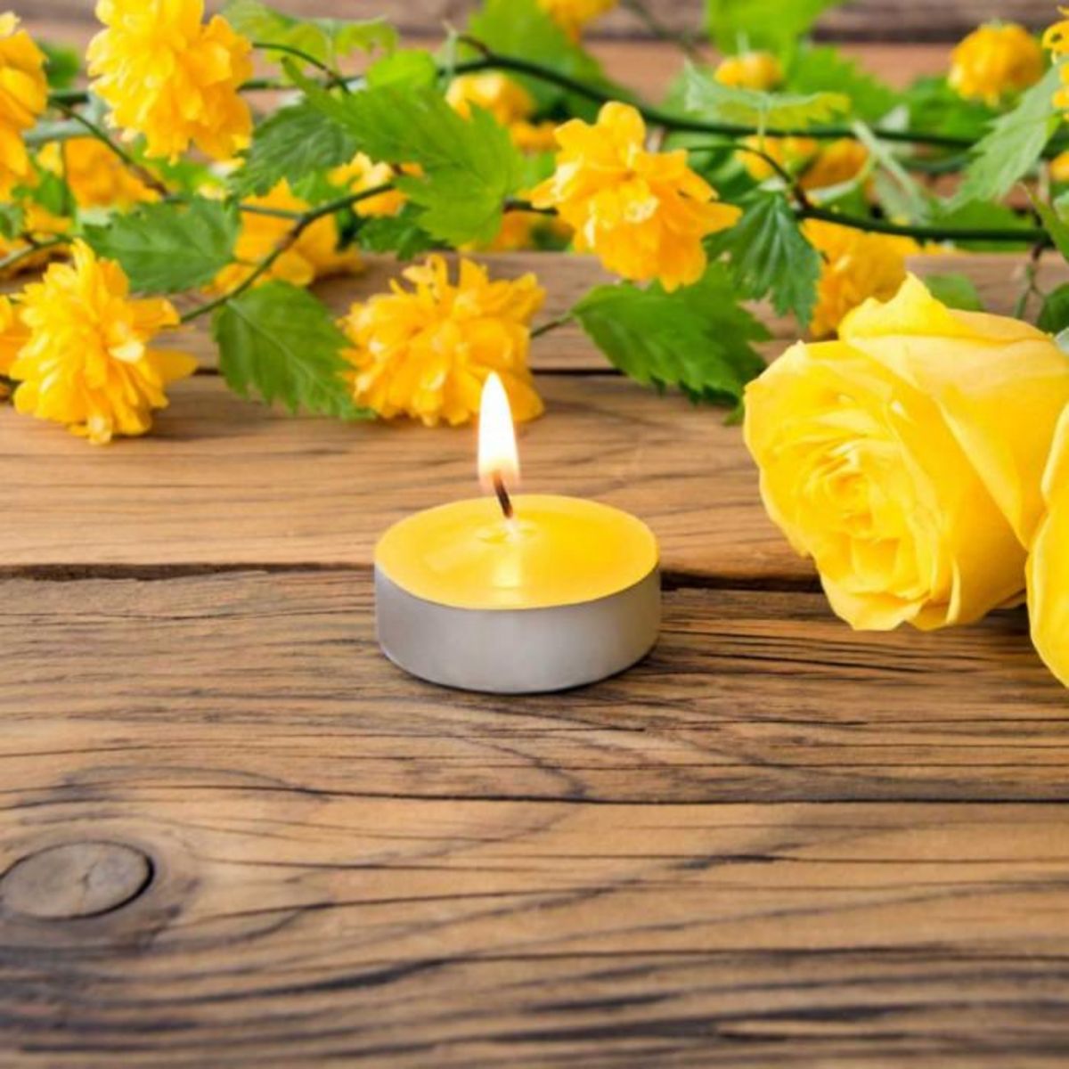 Paris Prix Lot de 15 Bougies Chauffe-Plat Parfumées  Antimoustique  3,8cm Citronnelle