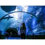 Smartbox À la découverte des secrets de l'océan : 2 entrées adulte coupe-file à l'aquarium Nausicaá en basse saison - Coffret Cadeau Sport & Aventure