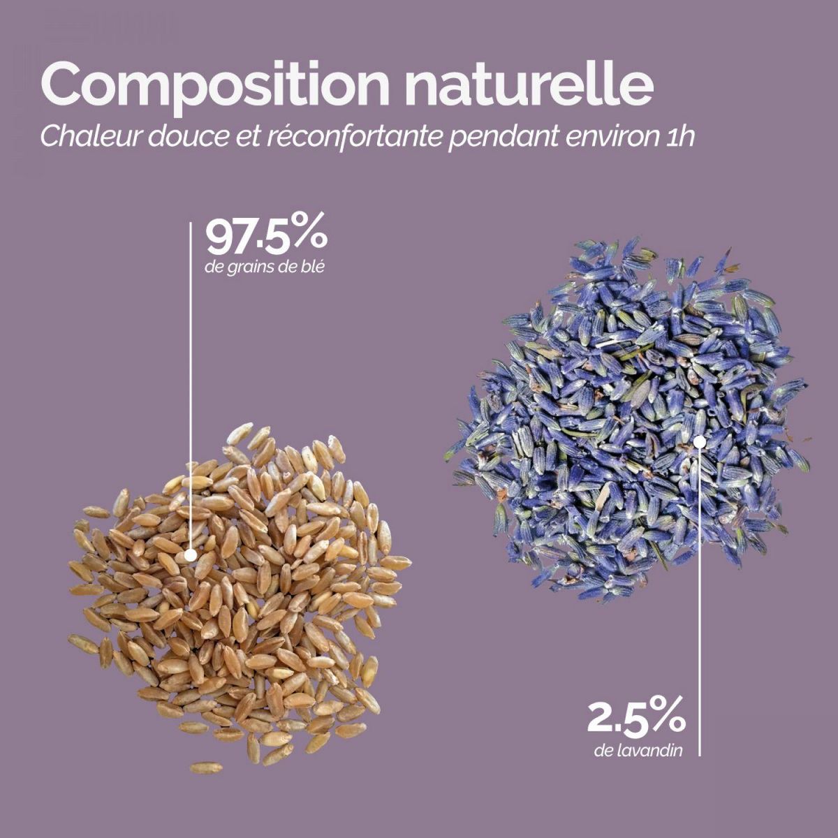 VIVEZEN Bouillotte longue chauffante - 12 x 80 cm