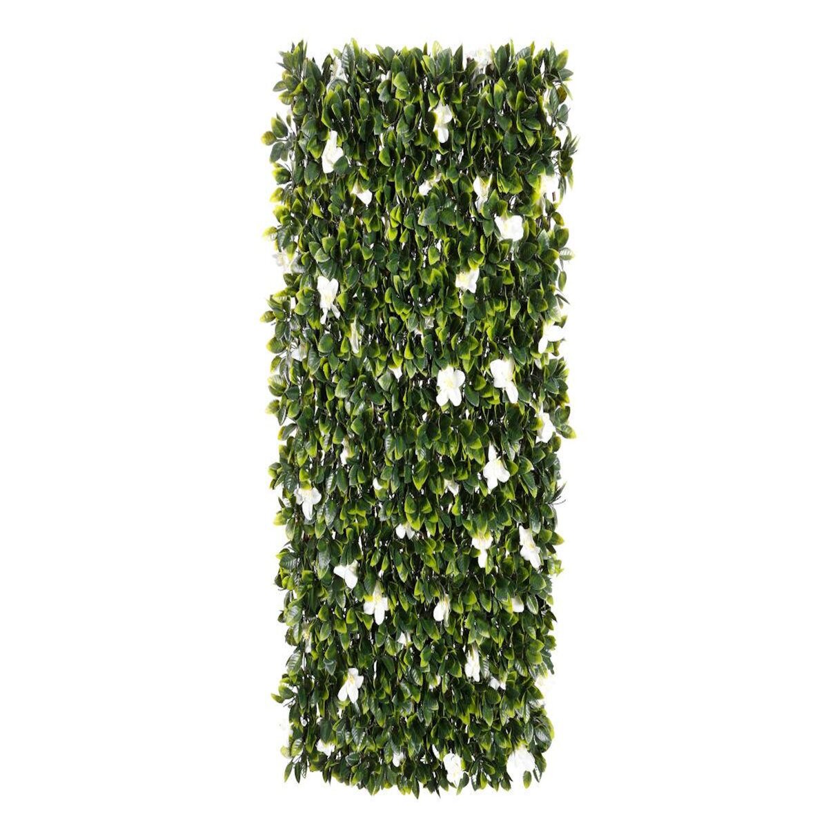 NATURE Treillis extensible en osier avec feuillage - Jasmin - 100 x 200 cm - Nature