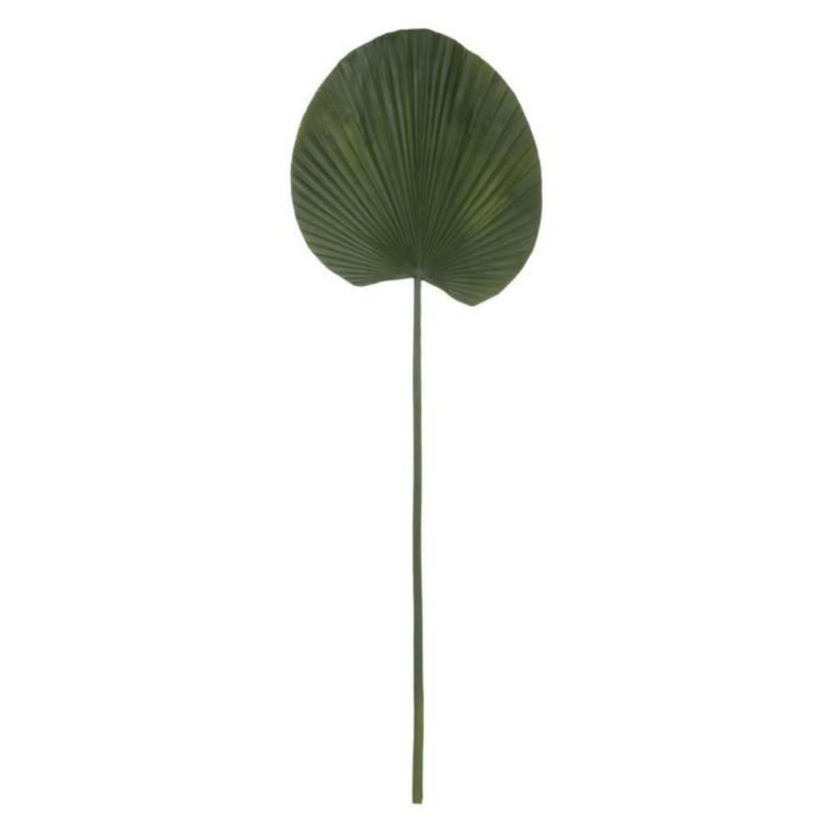 ATMOSPHERA Fleur Artificielle Nénuphar  Feel  91cm Vert