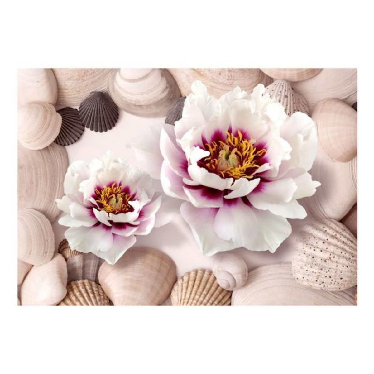 Paris Prix Papier Peint  Flowers & Shells