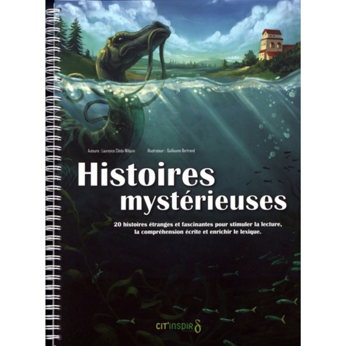 HISTOIRES MYSTERIEUSES. 20 HISTOIRES ETRANGES ET FASCINANTES POUR ...