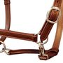 Voir la diapositive 2 : VIDAXL Licol Licou en cuir réglable pour écurie Poney Marron