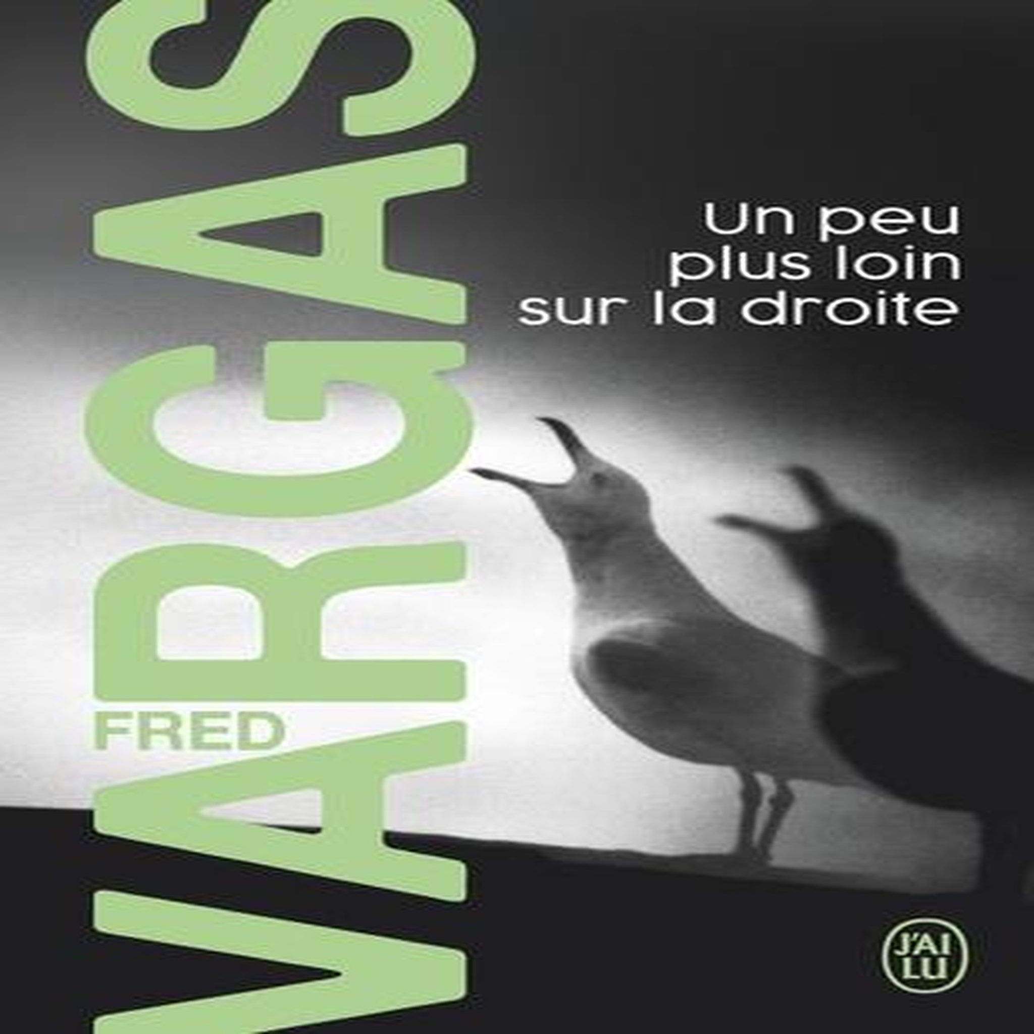UNE ENQUETE DU COMMISSAIRE ADAMSBERG : UN PEU PLUS LOIN SUR LA DROITE, Vargas Fred