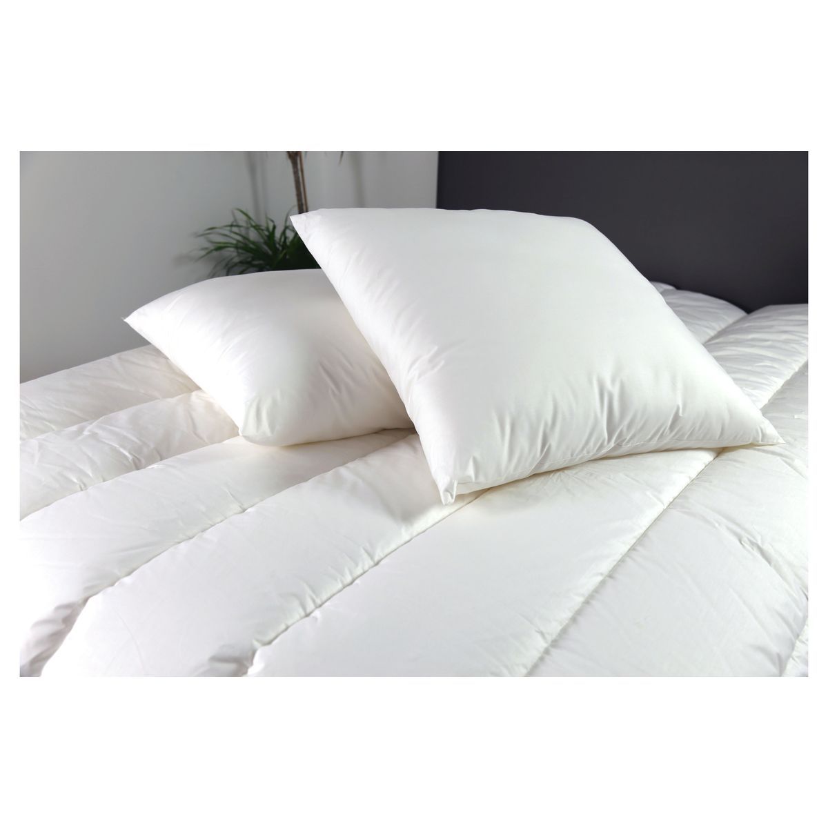 DODO Oreiller moelleux en coton Bio COTON'ETHIC