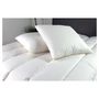Voir la diapositive 3 : DODO Oreiller moelleux en coton Bio COTON'ETHIC