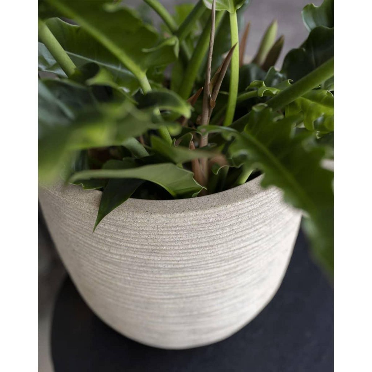 CAPI Capi Pot a fleurs Waste Rib 43x41 cm Beige terrazzo